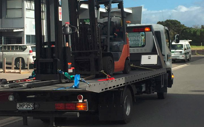 tauranga vehicle transportation